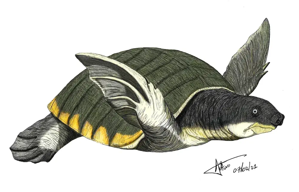 Вимерлий світ | Allaeochelys