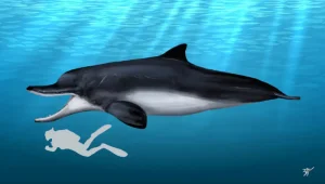 Idiorophus|Вимерлий світ