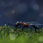 Clipboard_12-15-2025_02