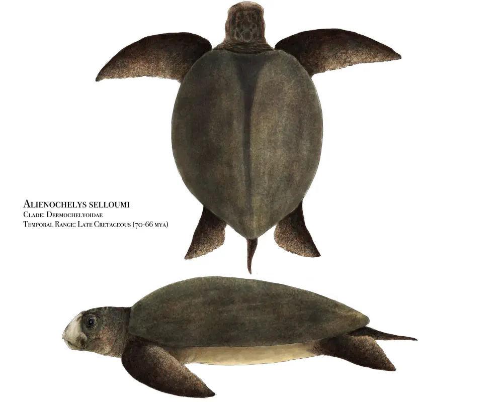 Вимерлий світ | Alienochelys