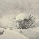 Falciscaris_Reconstruction