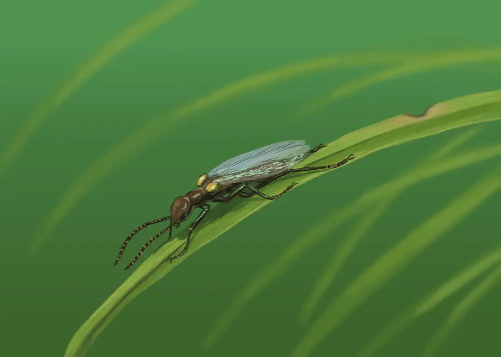 Вимерлий світ | Grant Вимерлий світ | Grant