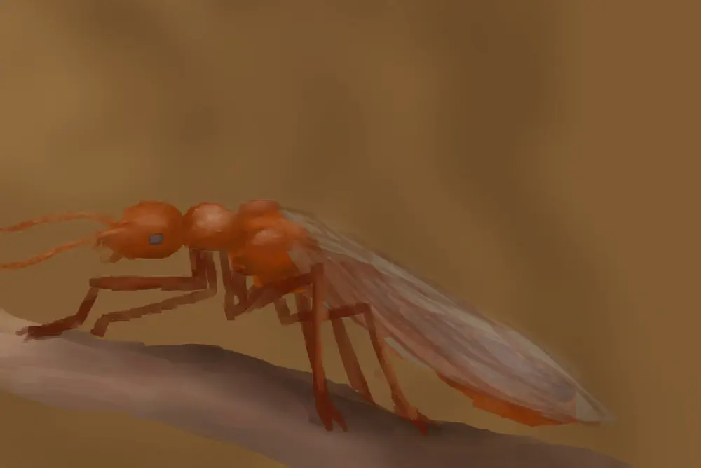 Вимерлий світ | Grant Вимерлий світ | Grant