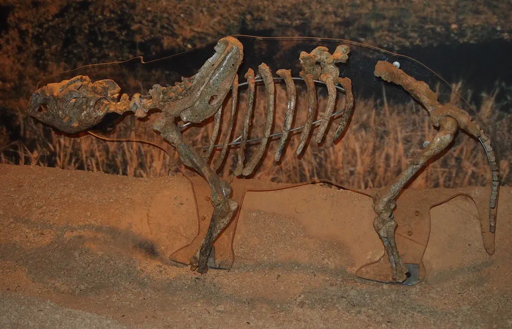 Вимерлий світ | Kolopsis