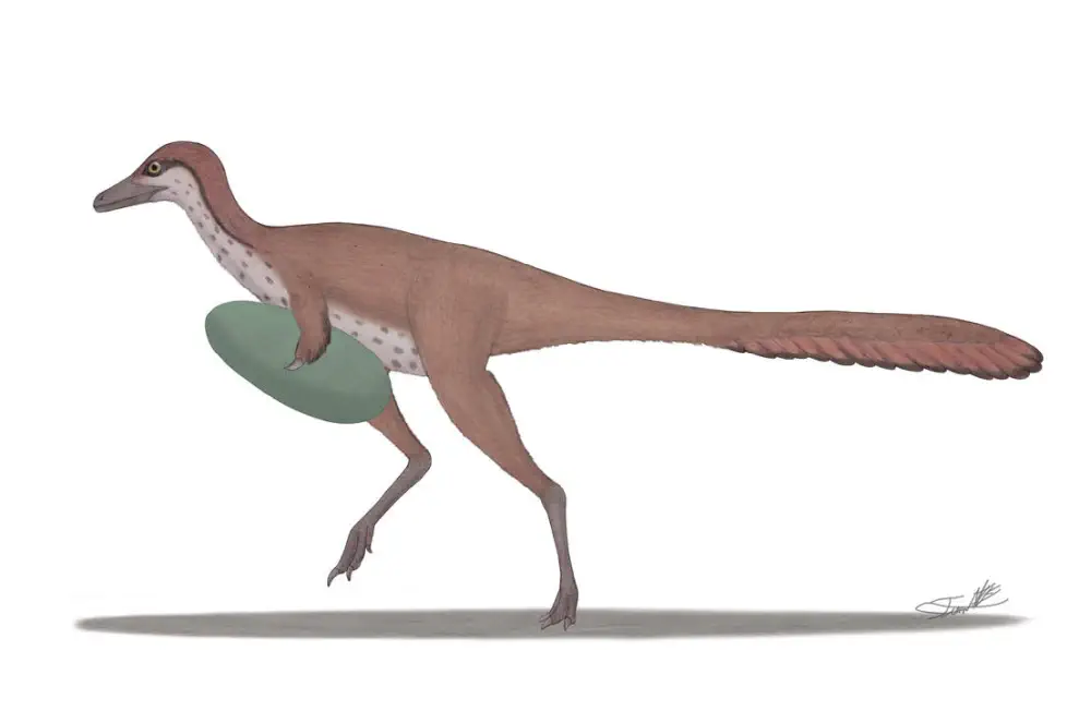 Вимерлий світ | Manipulonyx