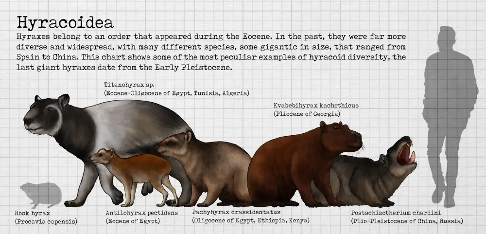 Вимерлий світ | Postschizotherium Вимерлий світ | Postschizotherium