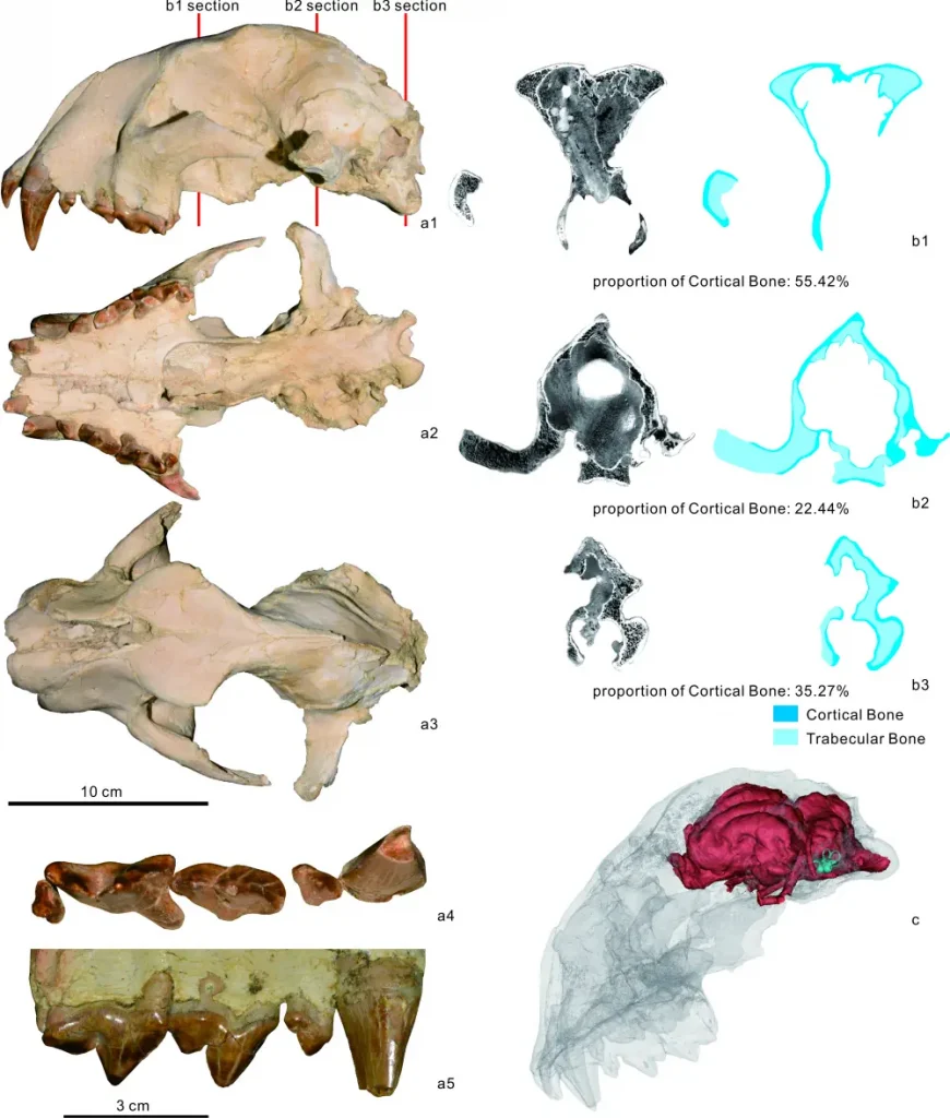 Вимерлий світ | Taotienimravus