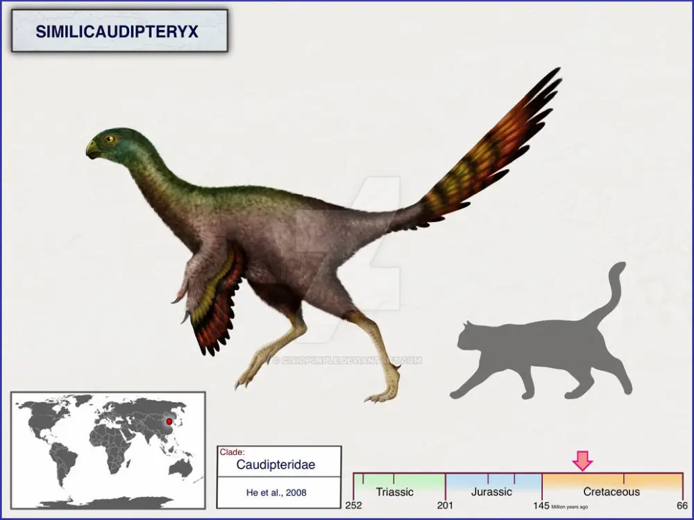 Вимерлий світ | Similicaudipteryx