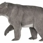 Some_image.width-1200.25bdbf3