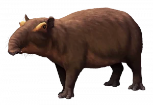 Postschizotherium|Вимерлий світ