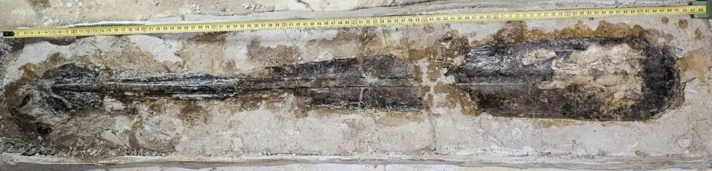 Вимерлий світ | Eromangateuthis Вимерлий світ | Eromangateuthis