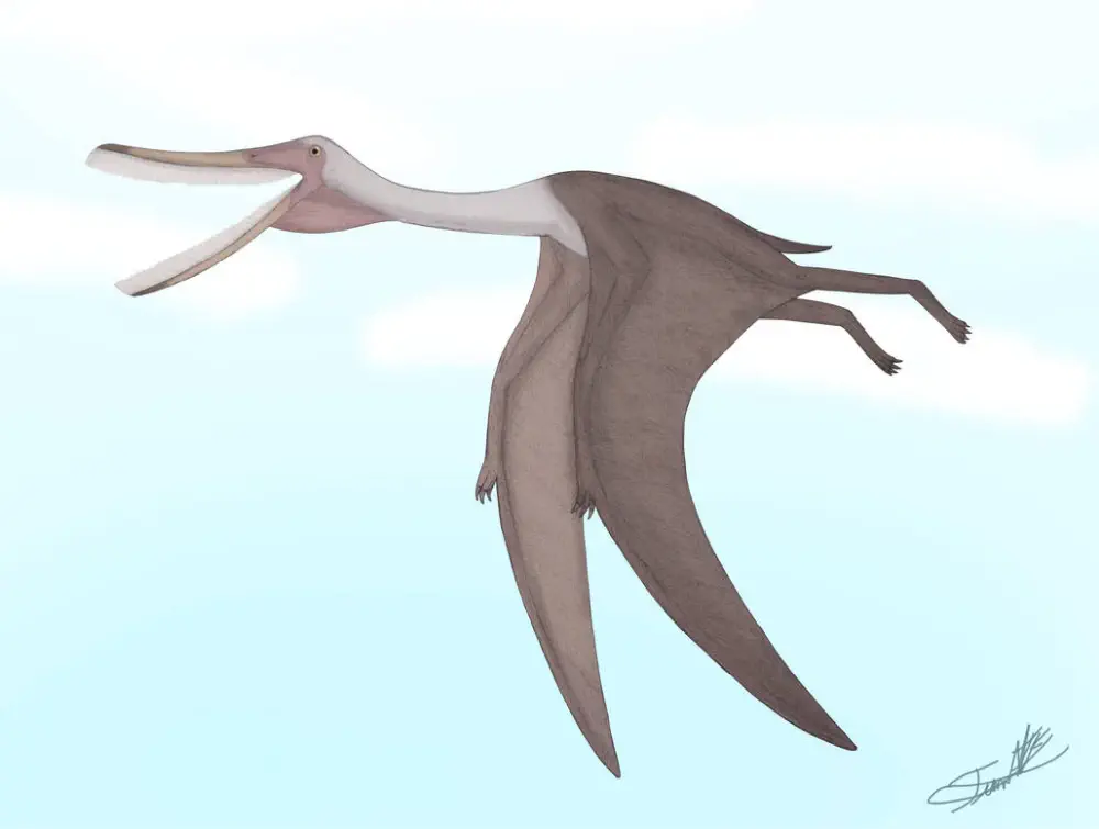 Вимерлий світ | Bakiribu