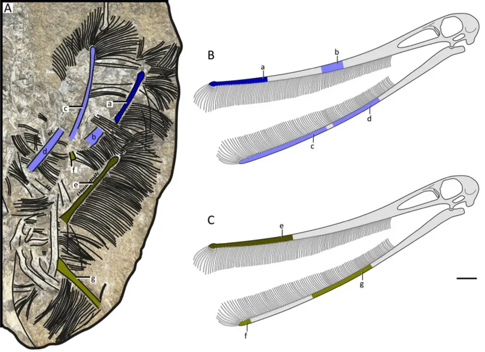 Вимерлий світ | Bakiribu