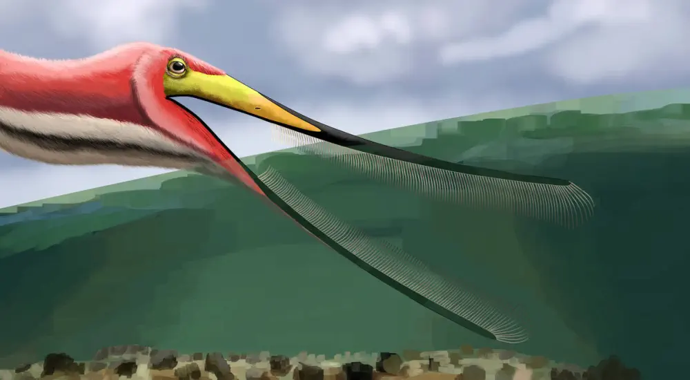 Вимерлий світ | Bakiribu