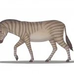 eurygnathohippus___by_angeloraptorex230_dl5145w-pre