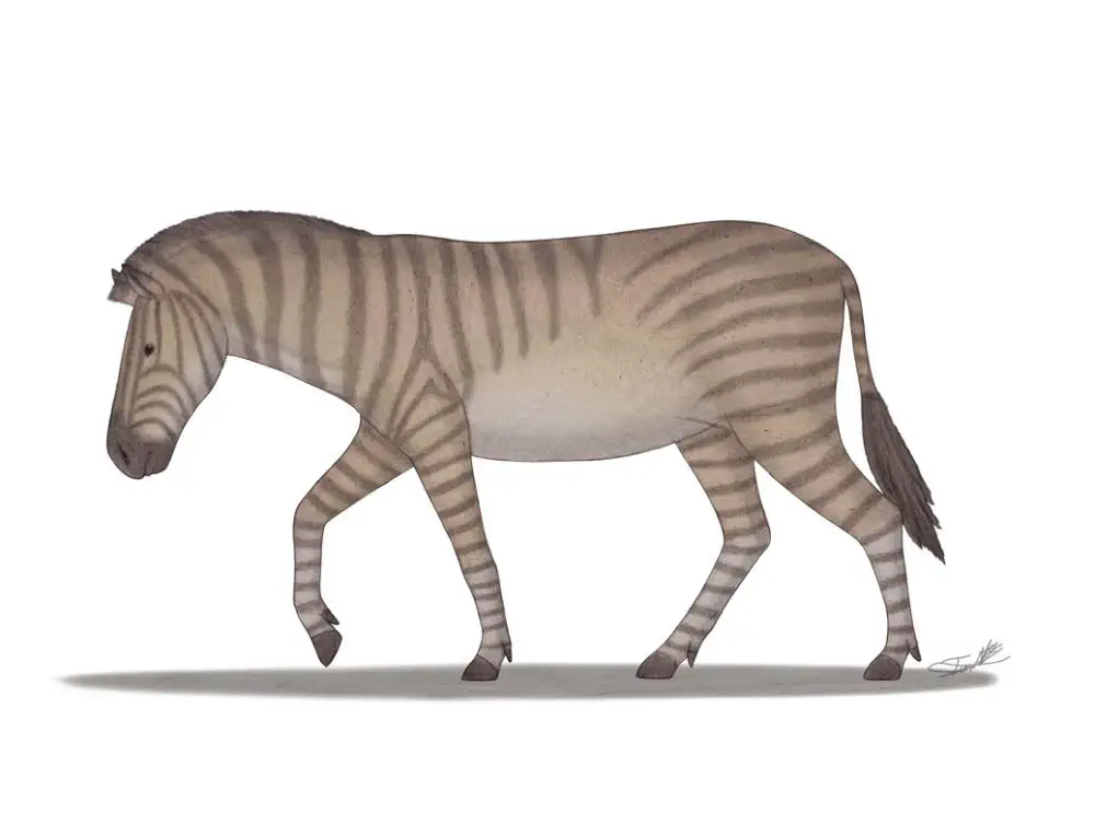 Вимерлий світ | Eurygnathohippus Вимерлий світ | Eurygnathohippus