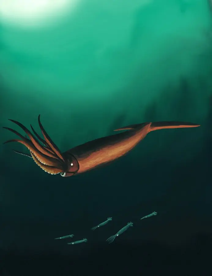 Вимерлий світ | Eromangateuthis Вимерлий світ | Eromangateuthis