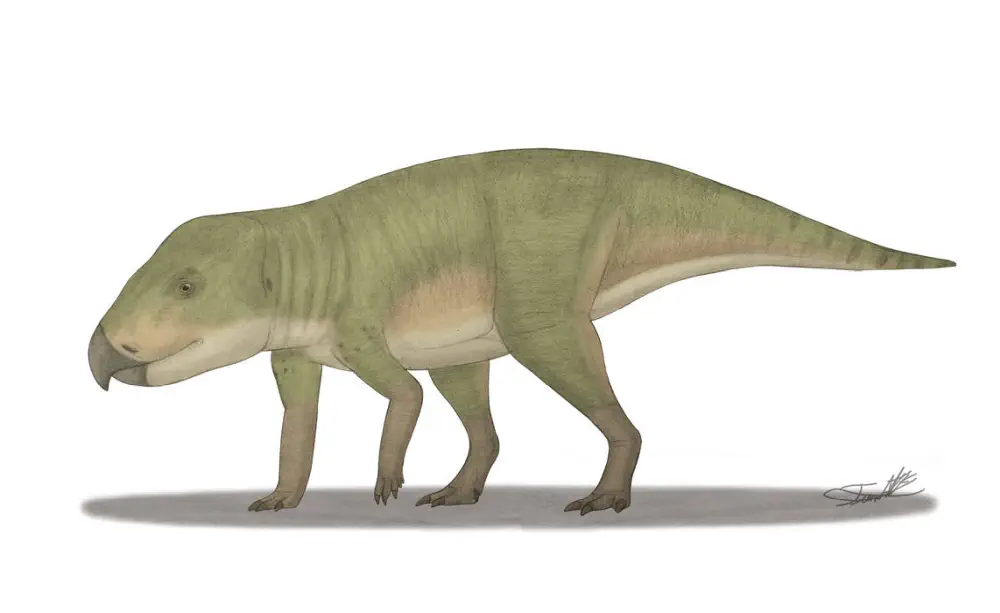 Вимерлий світ | Ferenceratops