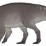 Ferenceratops_shqiperorum