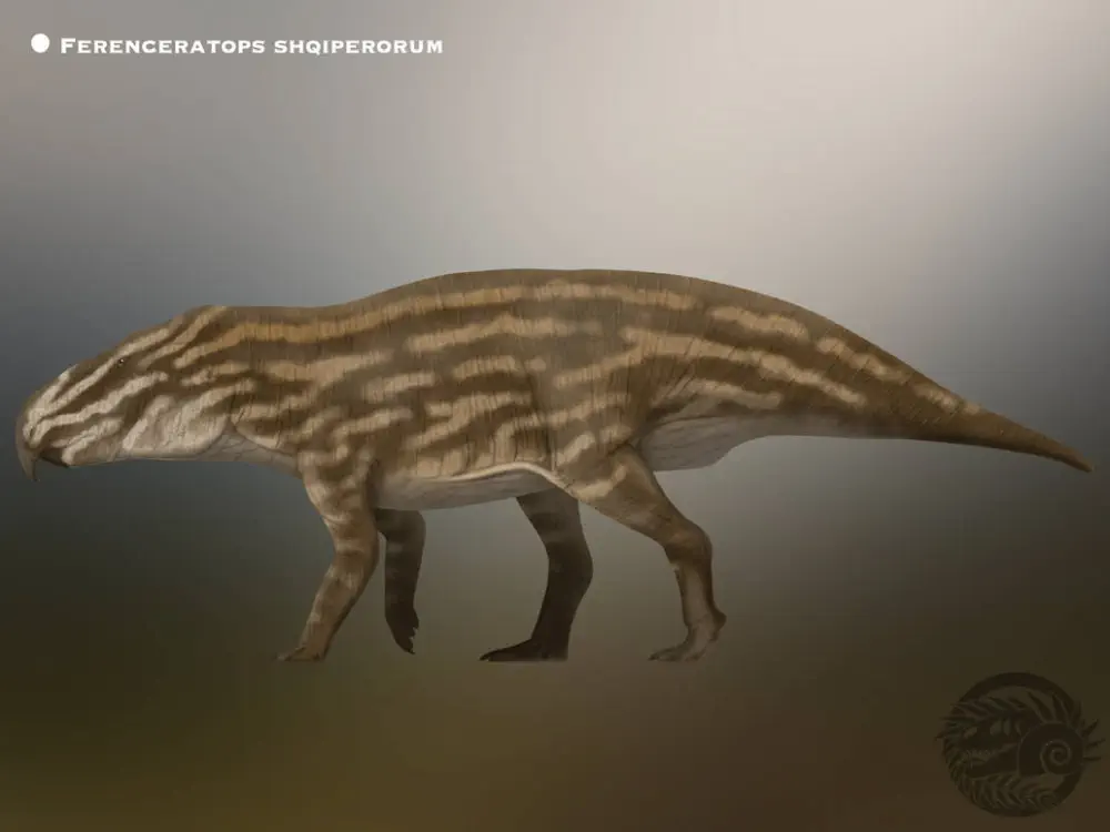 Вимерлий світ | Ferenceratops