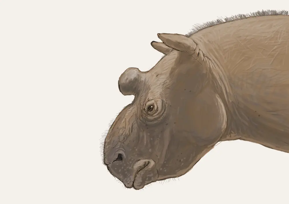 Вимерлий світ | Paratrigodon