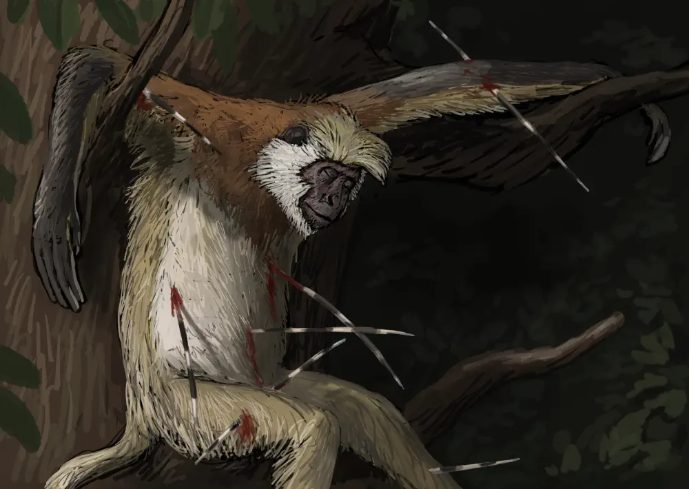 Вимерлий світ | Cercopithecoides Вимерлий світ | Cercopithecoides