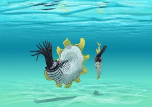 Cymaceras|Вимерлий світ