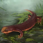 Nabia_civiscientrix-novataxa_2026-Guillaume_Evans__Moreno-Azanza