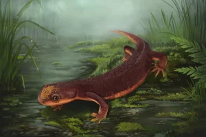 Nabia|Вимерлий світ