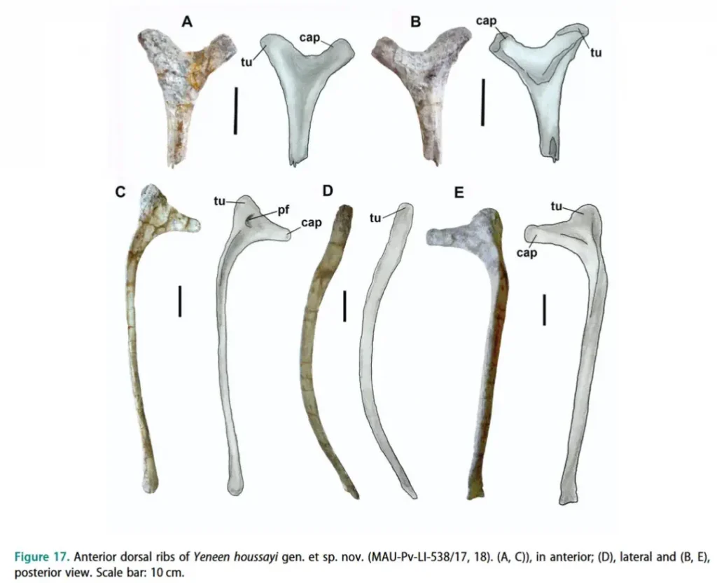 Вимерлий світ | Yeneen