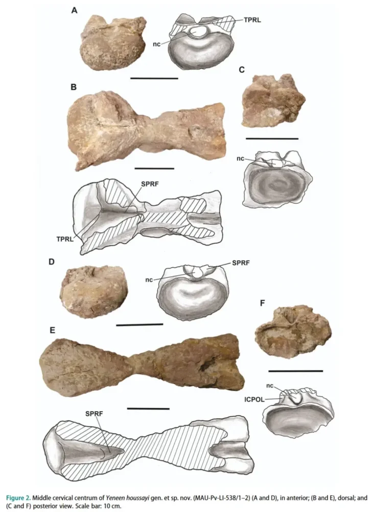 Вимерлий світ | Yeneen