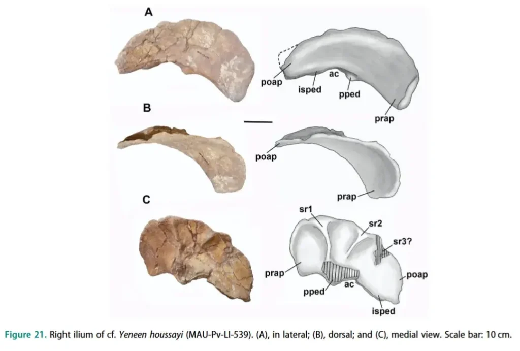 Вимерлий світ | Yeneen