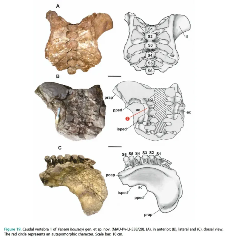 Вимерлий світ | Yeneen