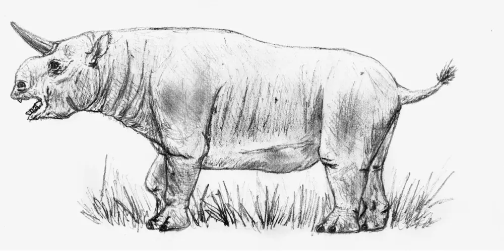 Вимерлий світ | Paratrigodon