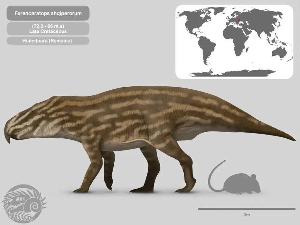 Вимерлий світ | Ferenceratops
