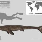perfil_oneirosaurus_caballeroi_by_paleohistoric_dku8igz-pre