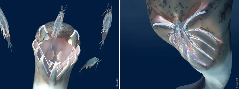 Вимерлий світ | Promissum