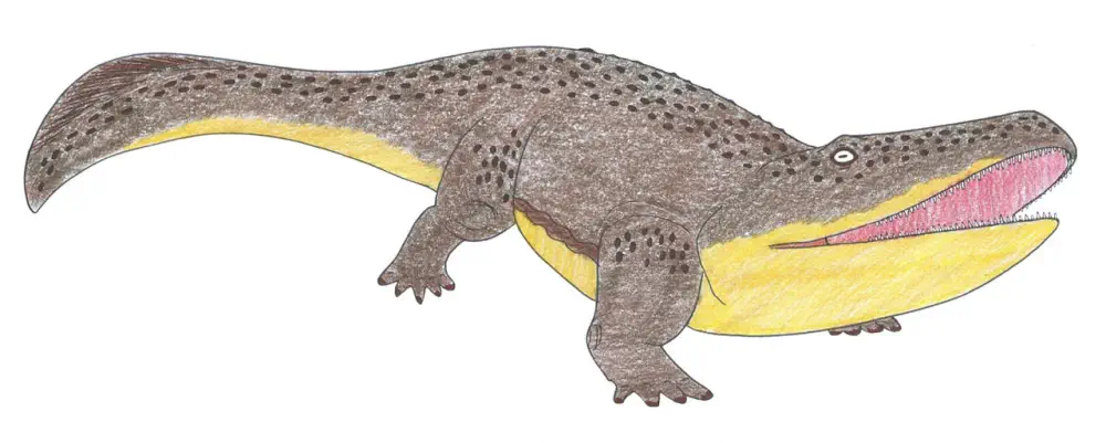 Вимерлий світ | Rhinesuchus