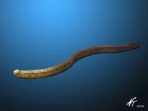 Promissum|Вимерлий світ