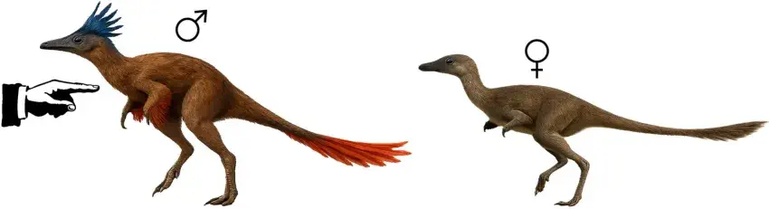 Вимерлий світ | Trierarchuncus Вимерлий світ | Trierarchuncus