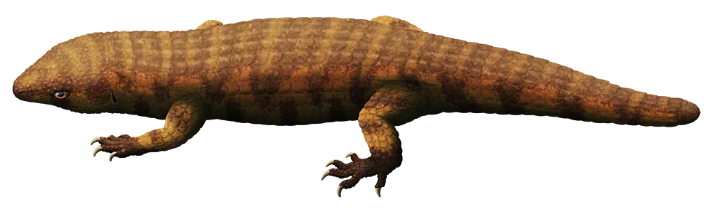 Вимерлий світ | Helodermoides