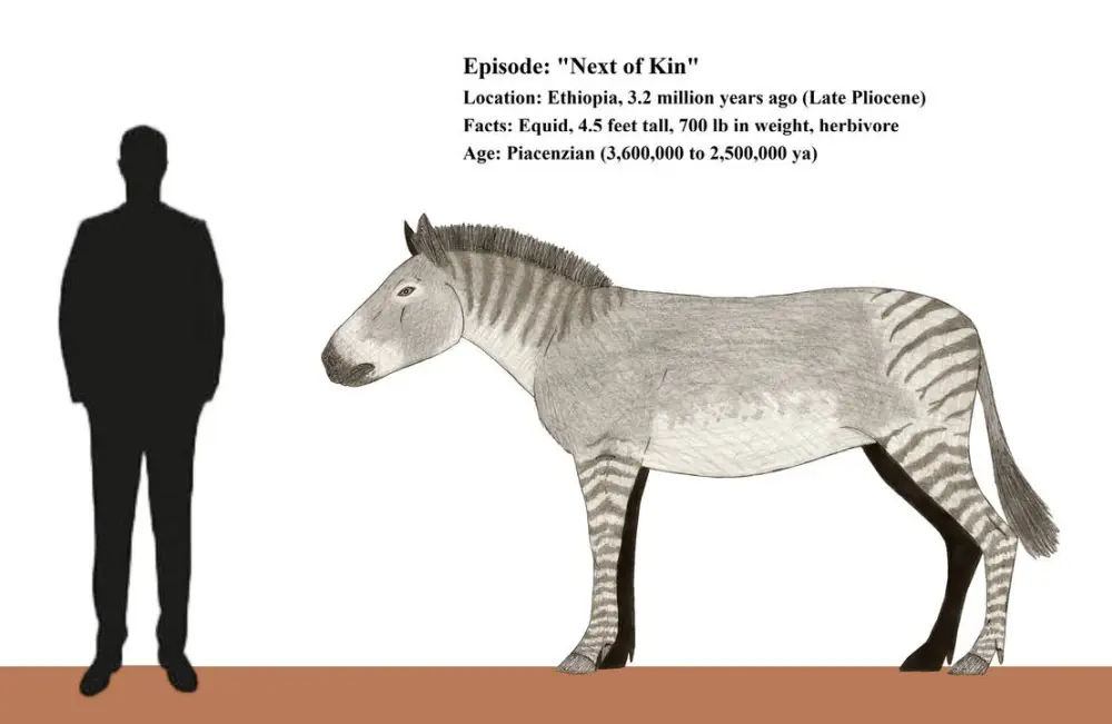 Вимерлий світ | Eurygnathohippus Вимерлий світ | Eurygnathohippus