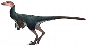 Xenovenator|Вимерлий світ