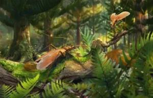 Zygogrylloblatta|Вимерлий світ