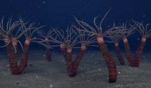 Paleocanna|Вимерлий світ