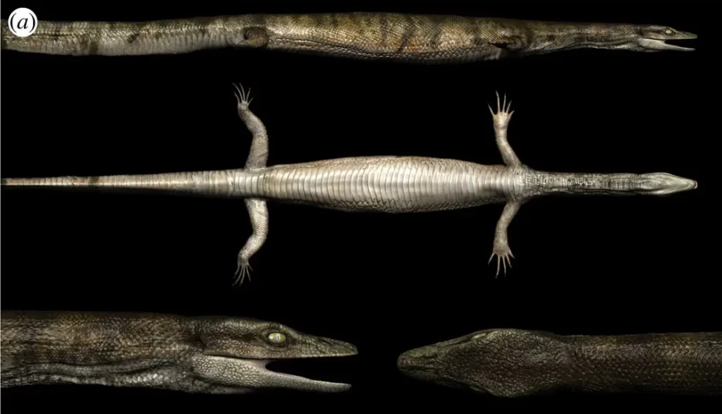 Вимерлий світ | Primitivus Вимерлий світ | Primitivus