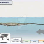 aphanizocnemus__by_cisiopurple_dle3qmv-pre