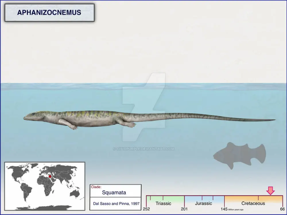 Вимерлий світ | Aphanizocnemus Вимерлий світ | Aphanizocnemus