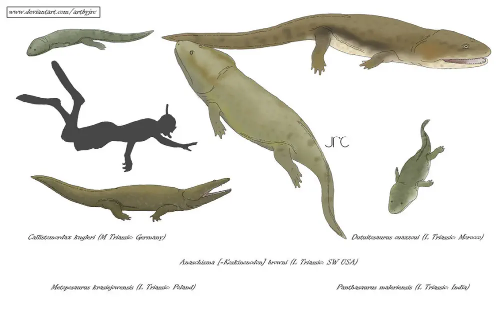 Вимерлий світ | Dutuitosaurus