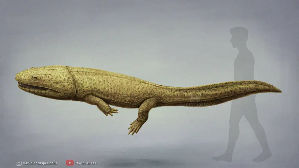 Вимерлий світ | Dutuitosaurus